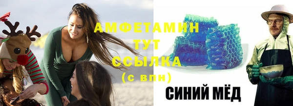 индика Бердск