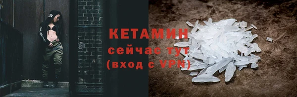 прущие грибы Лабытнанги