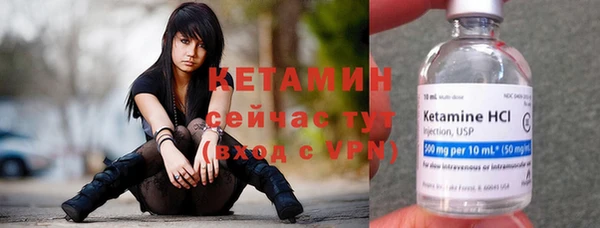прущие грибы Лабытнанги