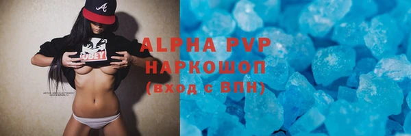 прущие грибы Лабытнанги