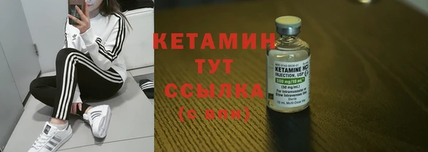 прущие грибы Лабытнанги