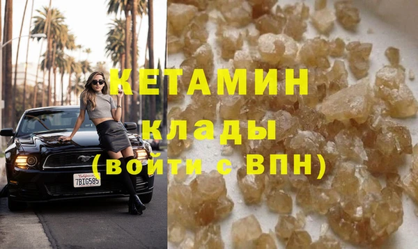 прущие грибы Лабытнанги