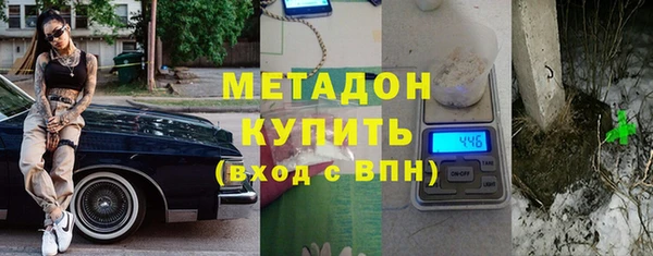 прущие грибы Лабытнанги