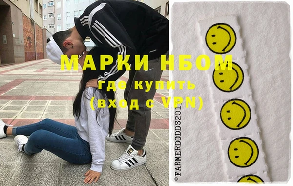 прущие грибы Лабытнанги