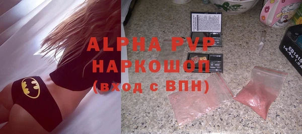 прущие грибы Лабытнанги