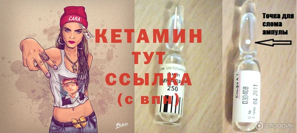 прущие грибы Лабытнанги