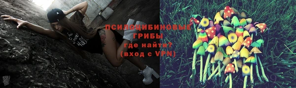 прущие крисы Ачинск