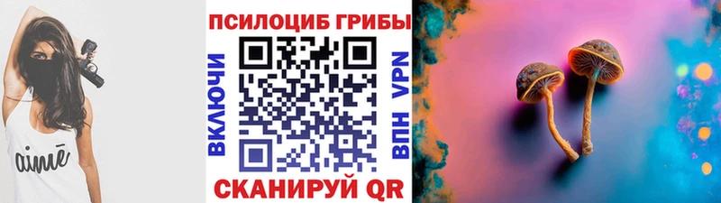 Псилоцибиновые грибы прущие грибы  Тбилисская 