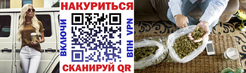 Каннабис конопля  Тбилисская 